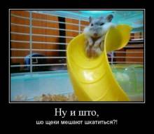   ,    ?! 