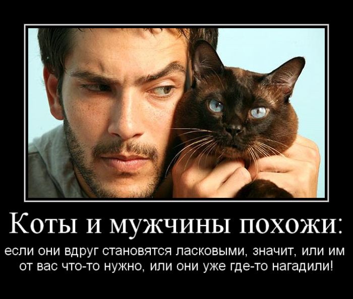    :     , ,     - ,    - ! 