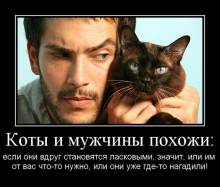   :     , ,     - ,    - ! 