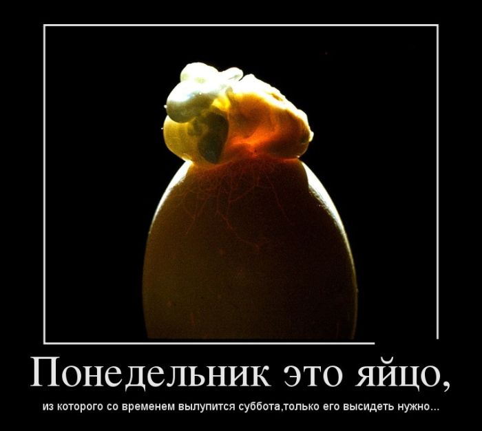   ,      ,    ...