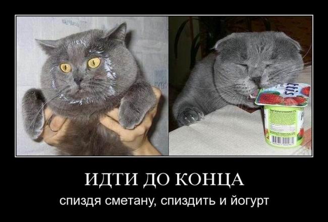   . .. , ..   