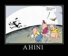 AH1N1 