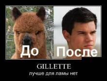 Gillette     