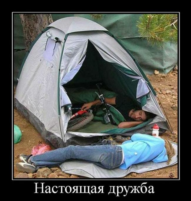 Настоящая дружба 