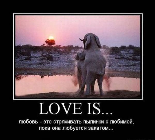 LOVE IS...       ,    ...