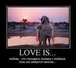 LOVE IS...       ,    ...