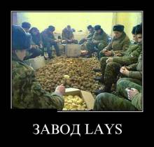  lays 