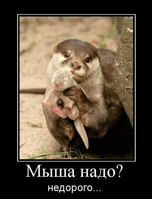  ? ... 