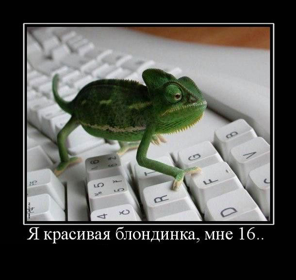   ,  16..