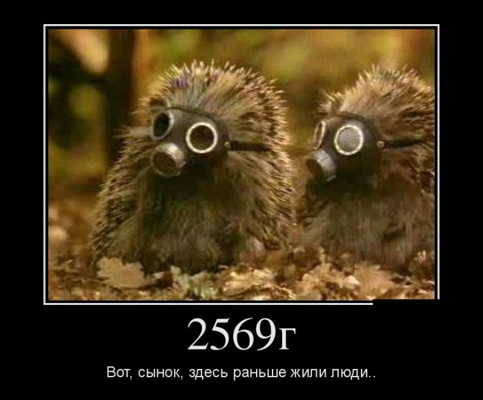 2569 . , ,    .. 