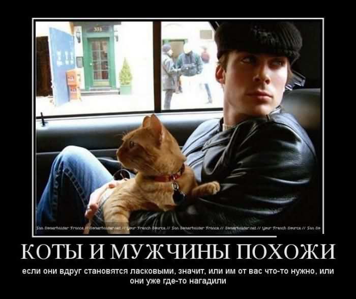    ,     , ,     - ,    -  