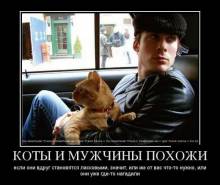    ,     , ,     - ,    -  