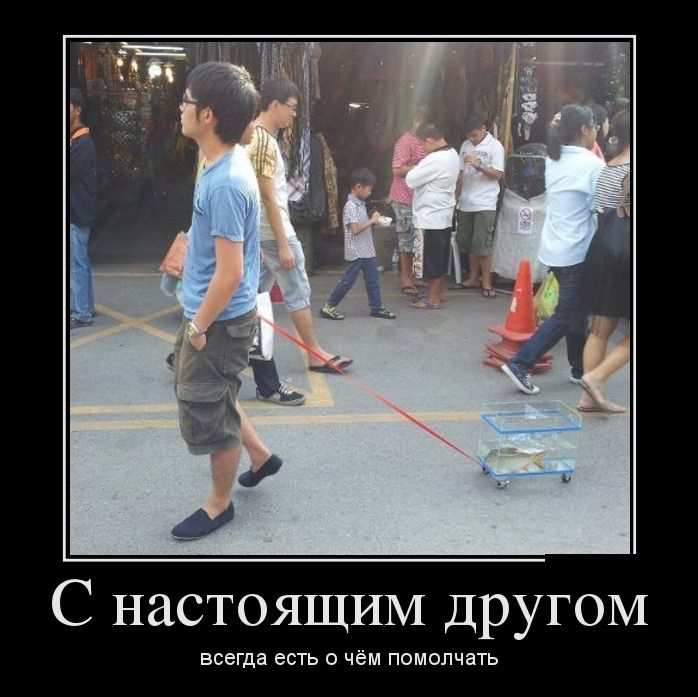 С настоящим другом всегда есть о чём помолчать 