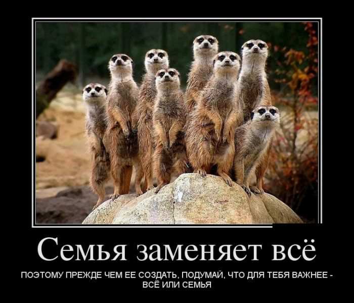 Семья заменяет всё, поэтому прежде чем ее создать, подумай, что для тебя важнее — всё или семья 
