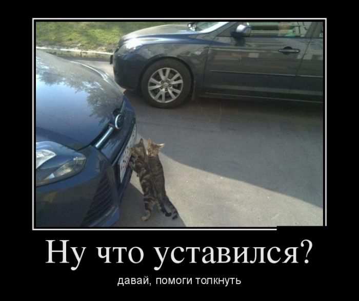   ? ,   