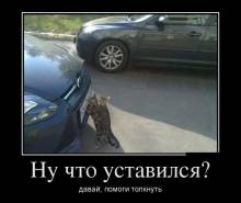   ? ,   