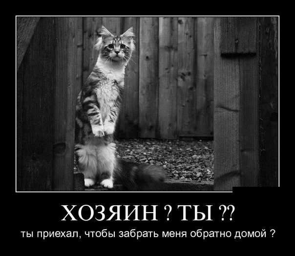 ? ??  ,      ? 