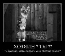 ? ??  ,      ? 