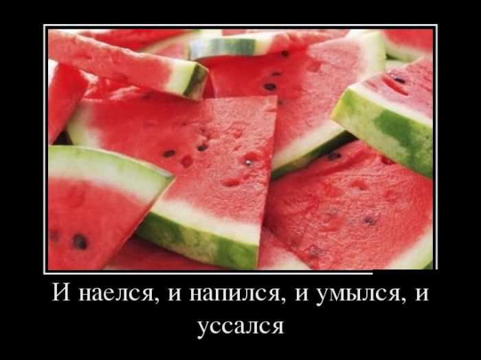  ,  ,  ,  