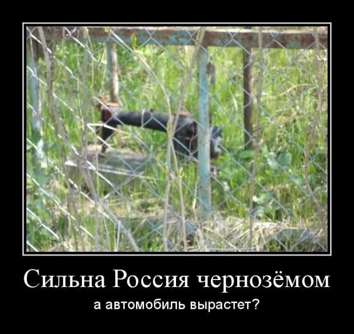   ,   ? 