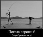 Ловля на живца. Погода хорошая
