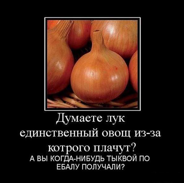     -  ?   -   @ ? 