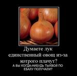     -  ?   -   @ ? 