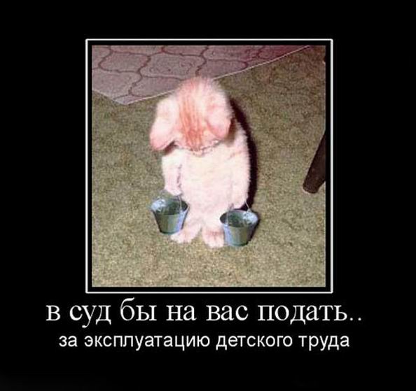      ..     