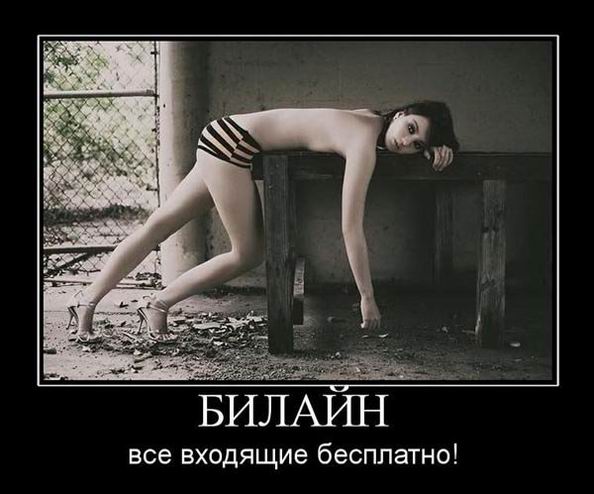 .   ! 