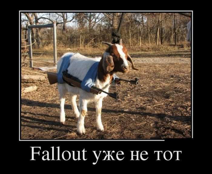 Fallout   