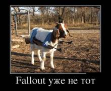 Fallout   