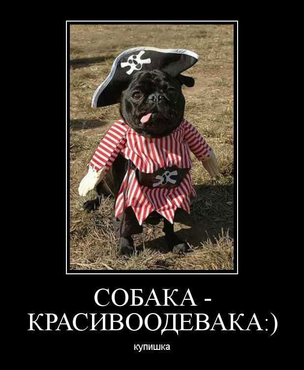   :)  
