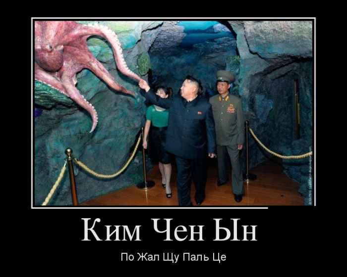 Ким Чей Ын ПоЖал Щу Паль Це 