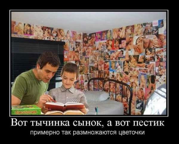 Вот тычинка сынок, а вот пестик. Примерно так размножаются цветочки 