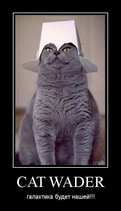 Cat Wader.   !!! 