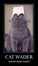 Cat Wader.   !!! 