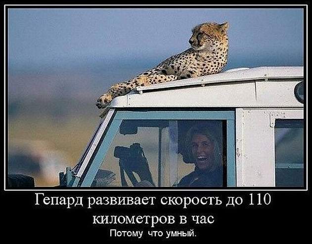     110   . ,  . 