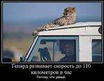     110   . ,  . 