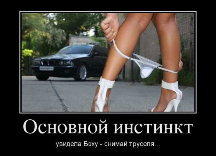 Основной инстинкт. Увидела Бэху — снимай труселя...