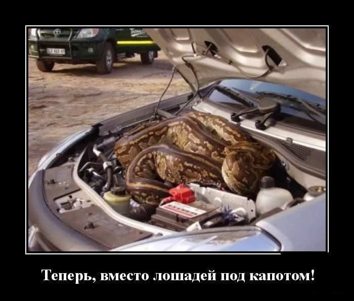 ,    ! 