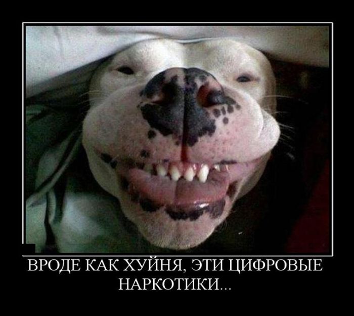   ,   ... 
