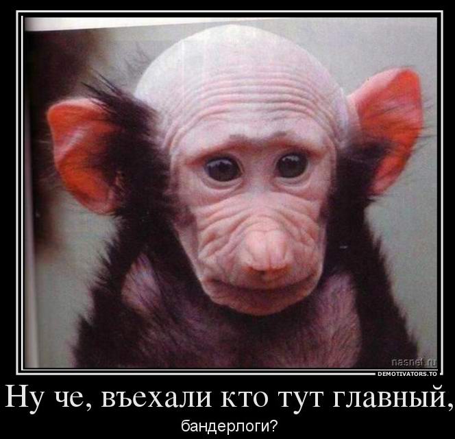    ,    ...
