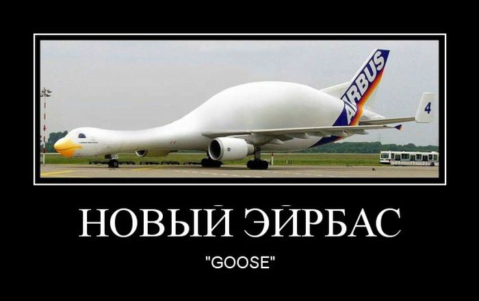   GOOSE