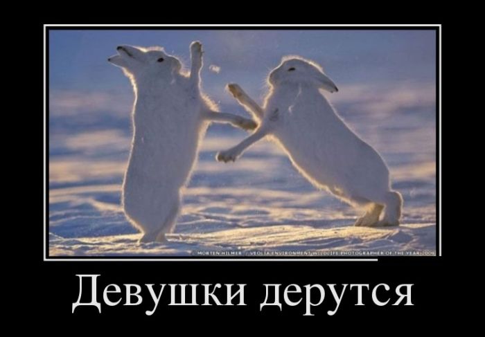 Девушки дерутся 