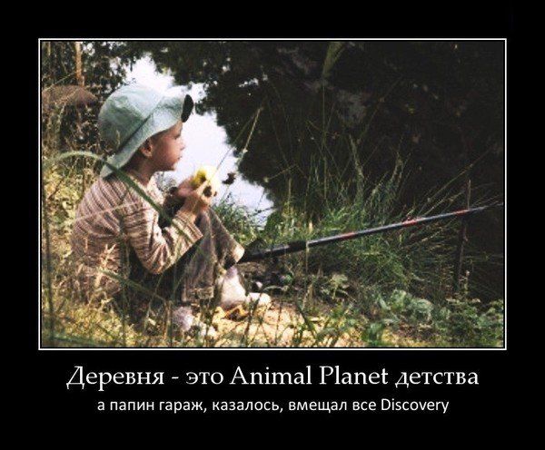    Animal Planet ,   , ,   Discovery 