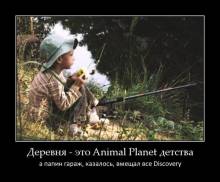   Animal Planet ,   , ,   Discovery 