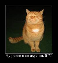     ??