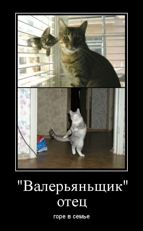 «Валерьяньщик» отец горе в семье 