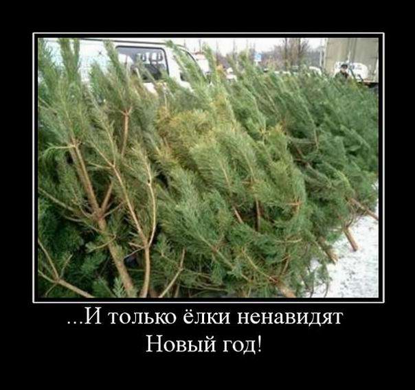 ...     ! 