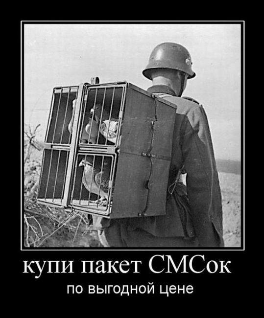 Купи пакет СМСок по выгодной цене 
